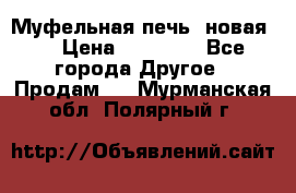 Муфельная печь (новая)  › Цена ­ 58 300 - Все города Другое » Продам   . Мурманская обл.,Полярный г.